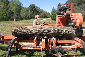 Dr. Best operating his sawmill
