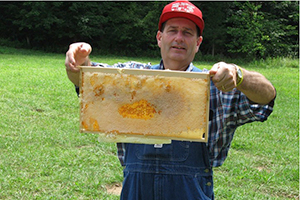 Dr. Greene harvesting honey