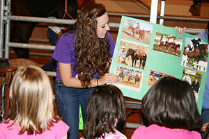 learning about horses