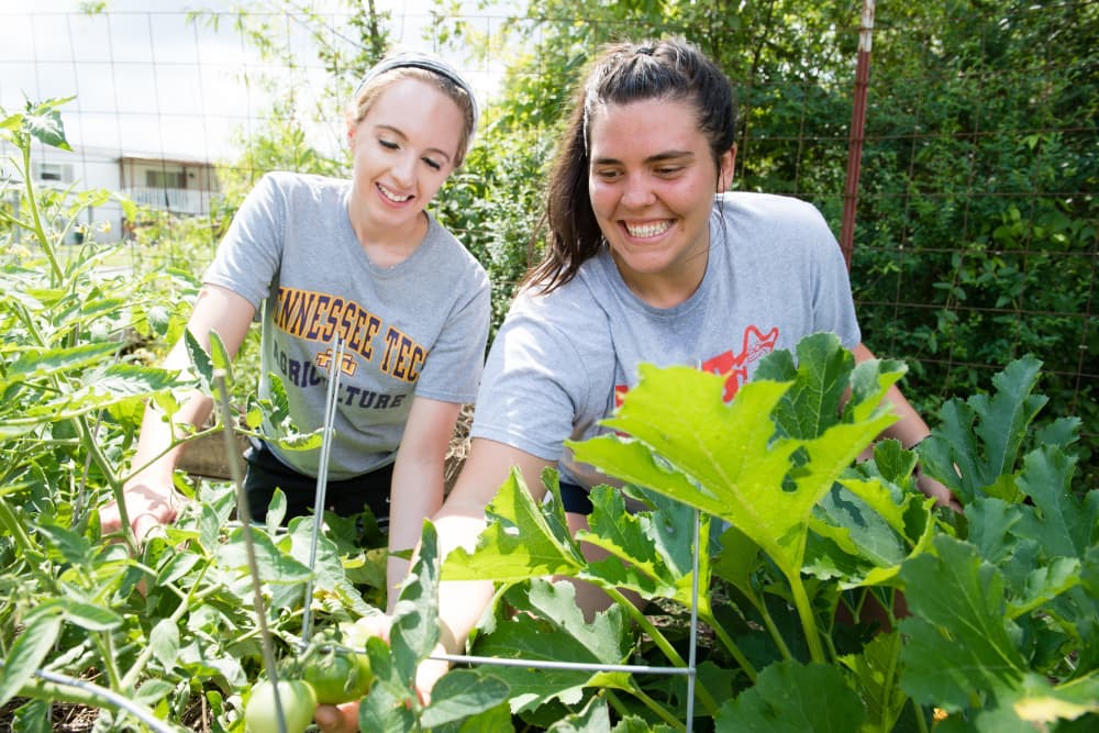 Students work in community garden