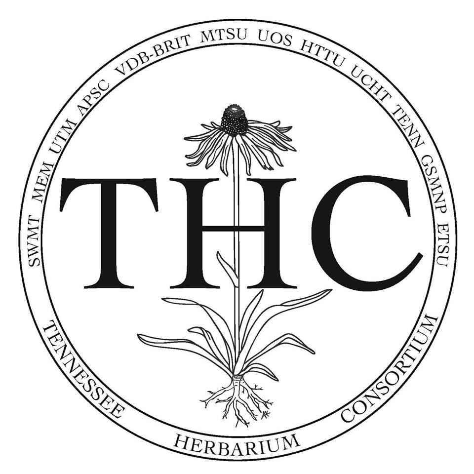 THC image