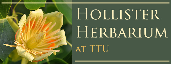 HTTU Logo