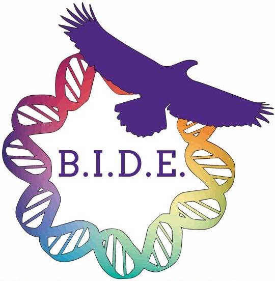 BIDE logo