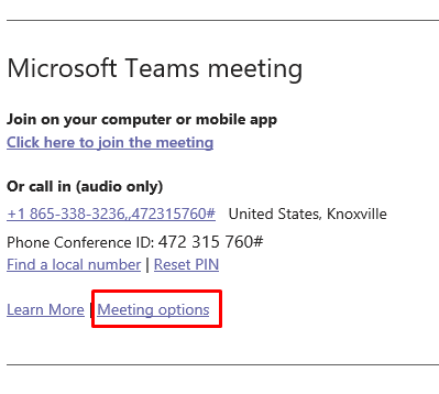 Meeting Options link in details