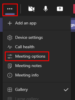 Meeting Options available in a Teams call