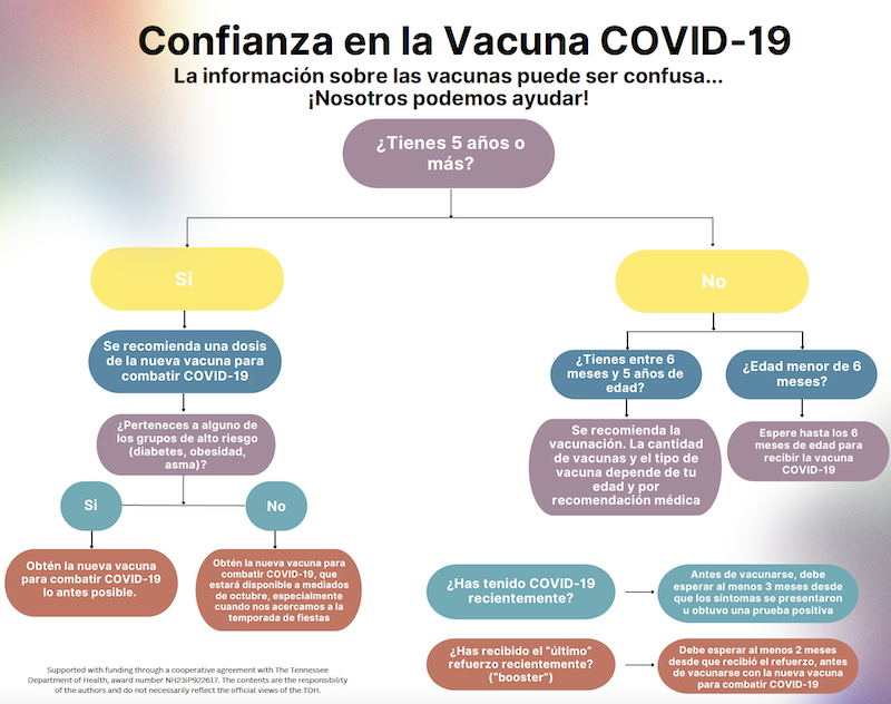 Vaccine Flow Chart Espanol