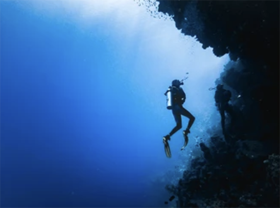 Scuba Diving