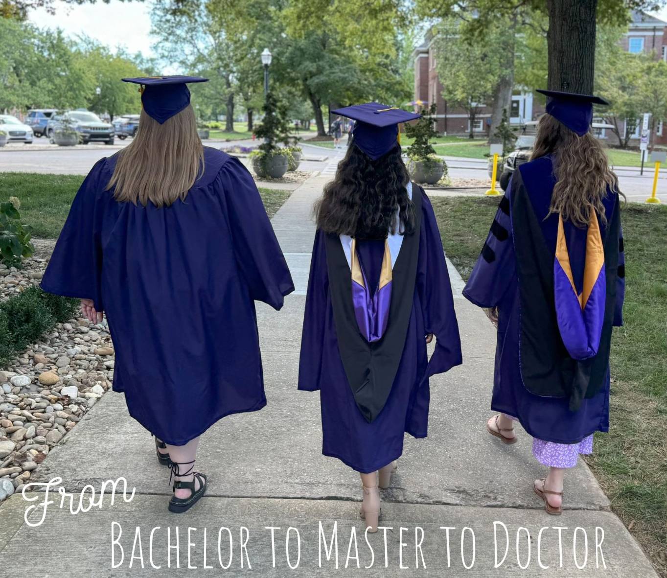 Students walking wearing graduation gowns with text saying "From bachelor to master to doctor"