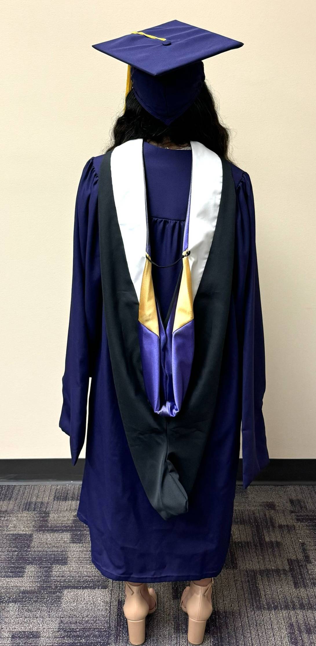 Master gown with hood from back