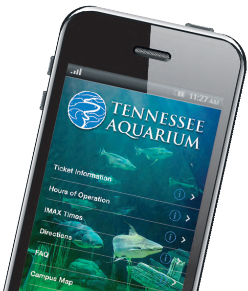Aquarium Phone Display