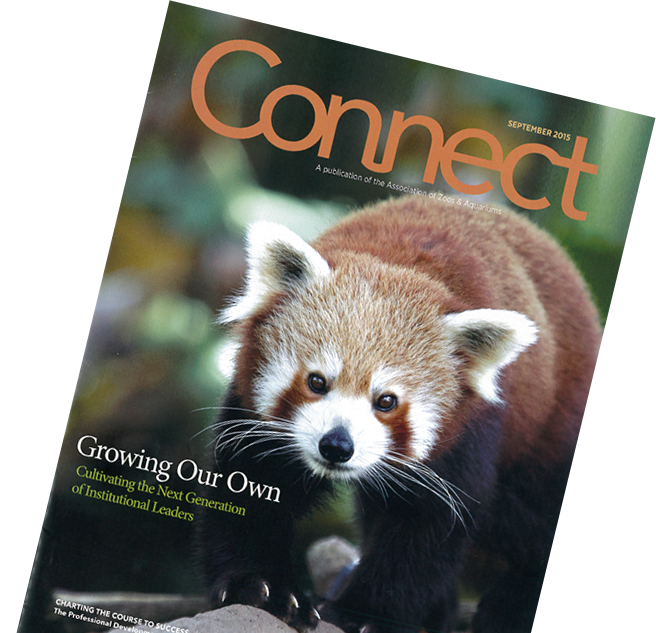 Connect Magazine Rotated