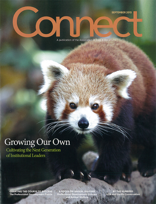 Connect Magazine Cover