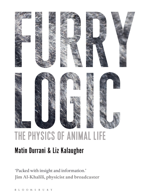 Furry Logic Cover