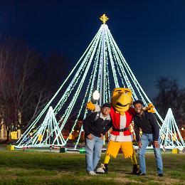 View of the holiday trees lite up with Awesome Eagle and friends