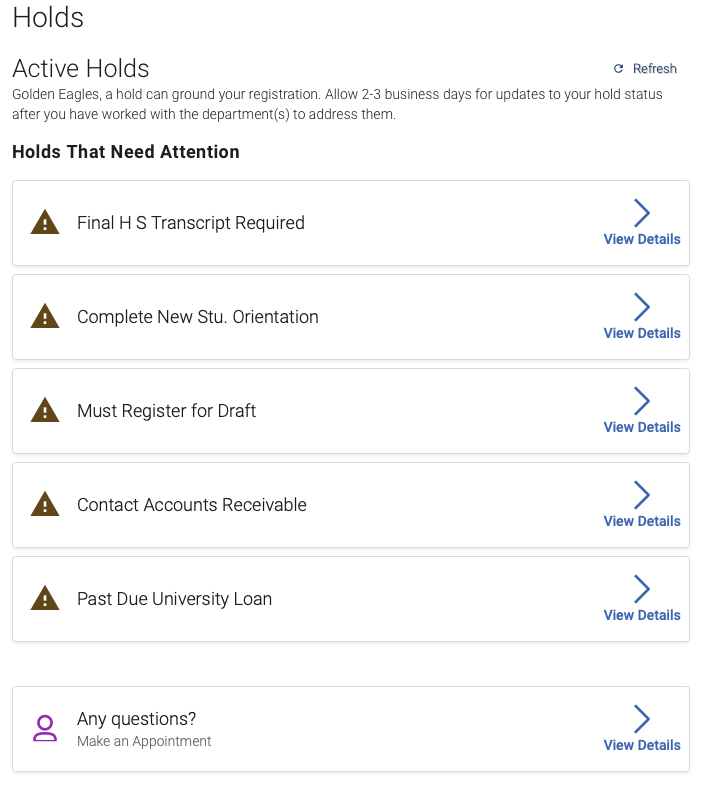 Image of an example of a List of Holds displayed within Navigate360 Student app.