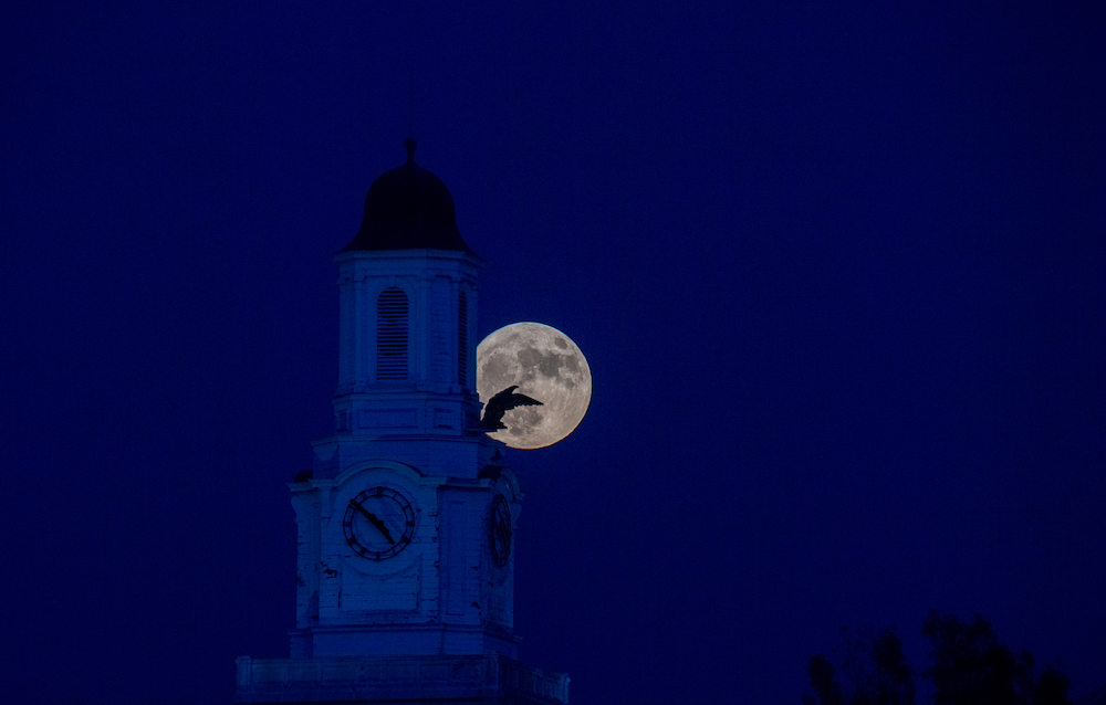 The eagle on top of Derryberry Hall is pictured with the moon behind it.