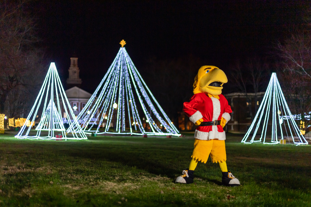 Awesome Eagle on the Quad with holiday lights behind him.