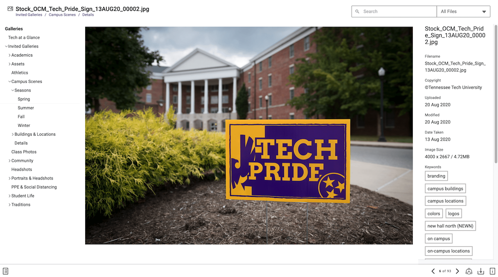 Libris full screen asset view