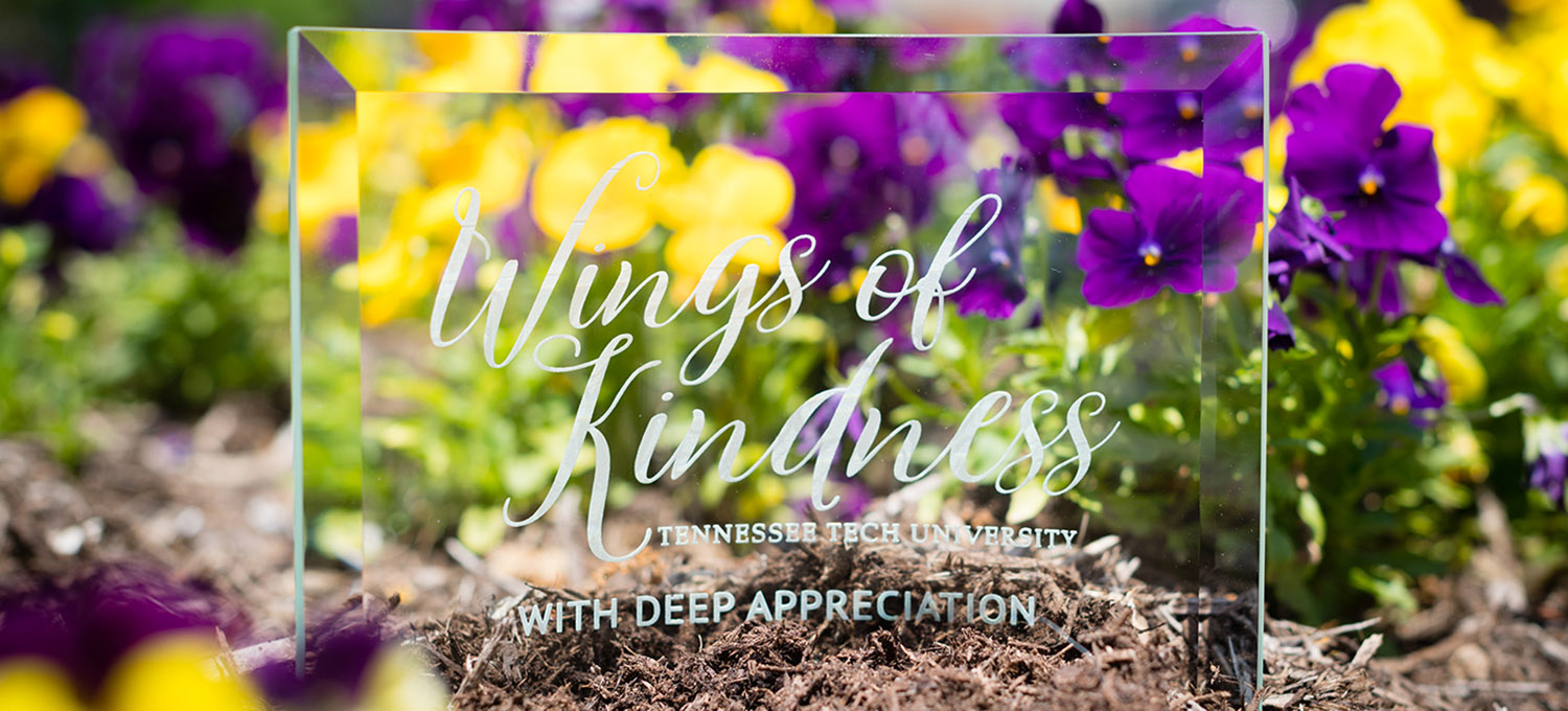 Wings of Kindness Award 