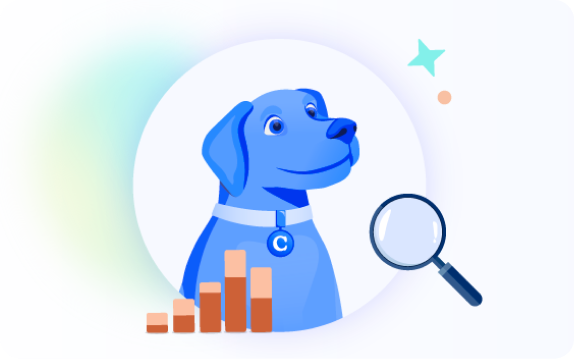 coursedog analytics