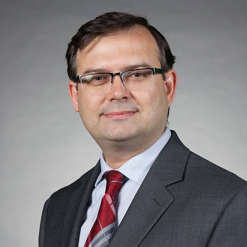 Nezih Pala, Ph.D., portrait Nezih Pala, Ph.D., portrait