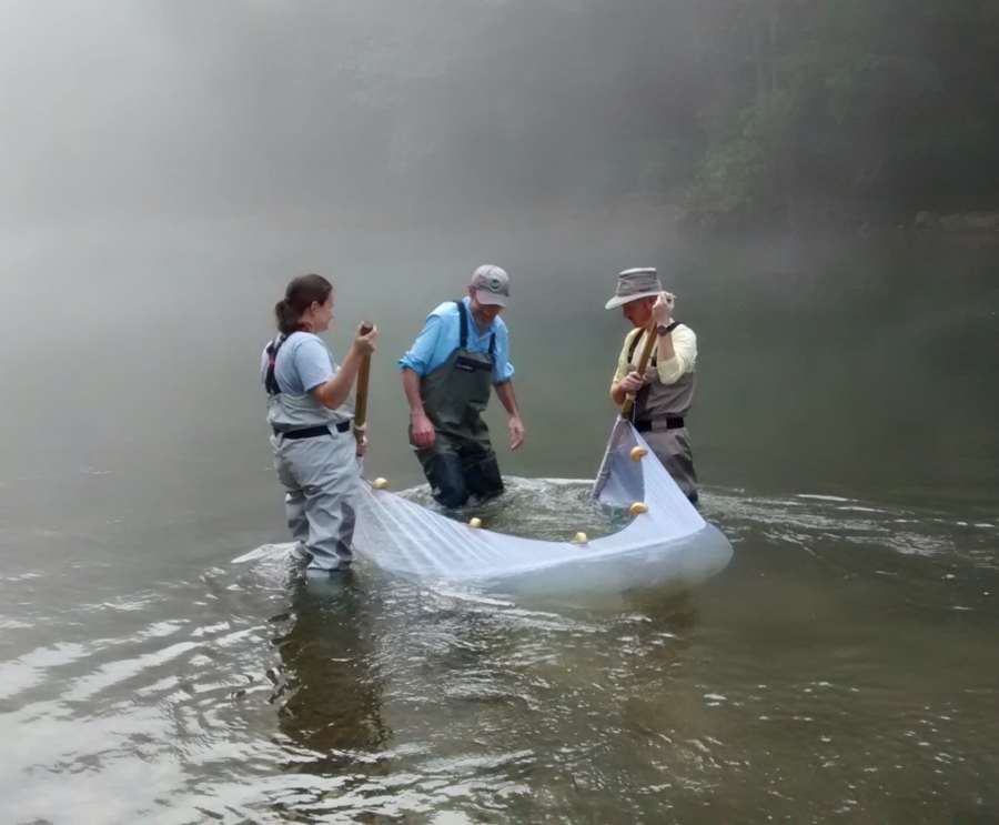 Researchers in the water