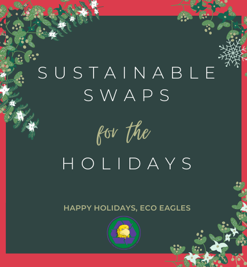 sustainable swaps for the holidays