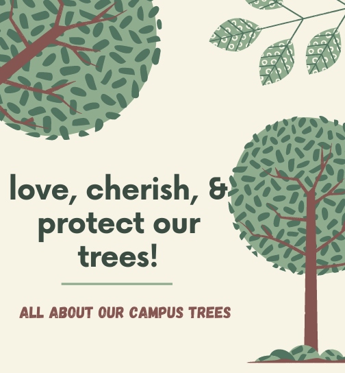Love, cherish, and protect our trees