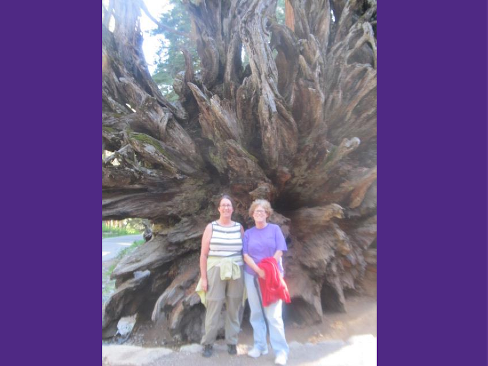 Photo of Geothel and Lyday together in front of a large tree