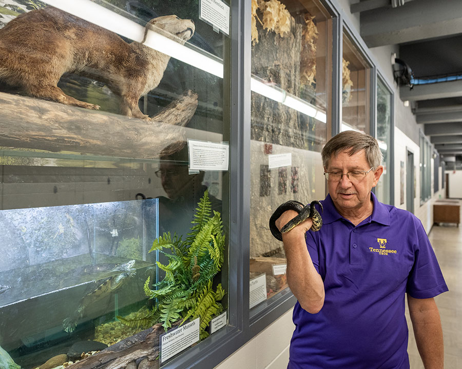 Dr. Daniel Combs holds a snake while teaching in Tennessee Tech’s biology and ecology collections area.