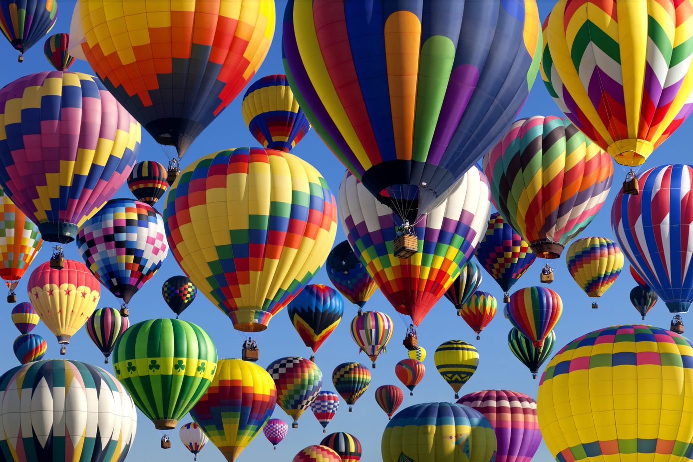 Hot air balloons in a clear blue sky