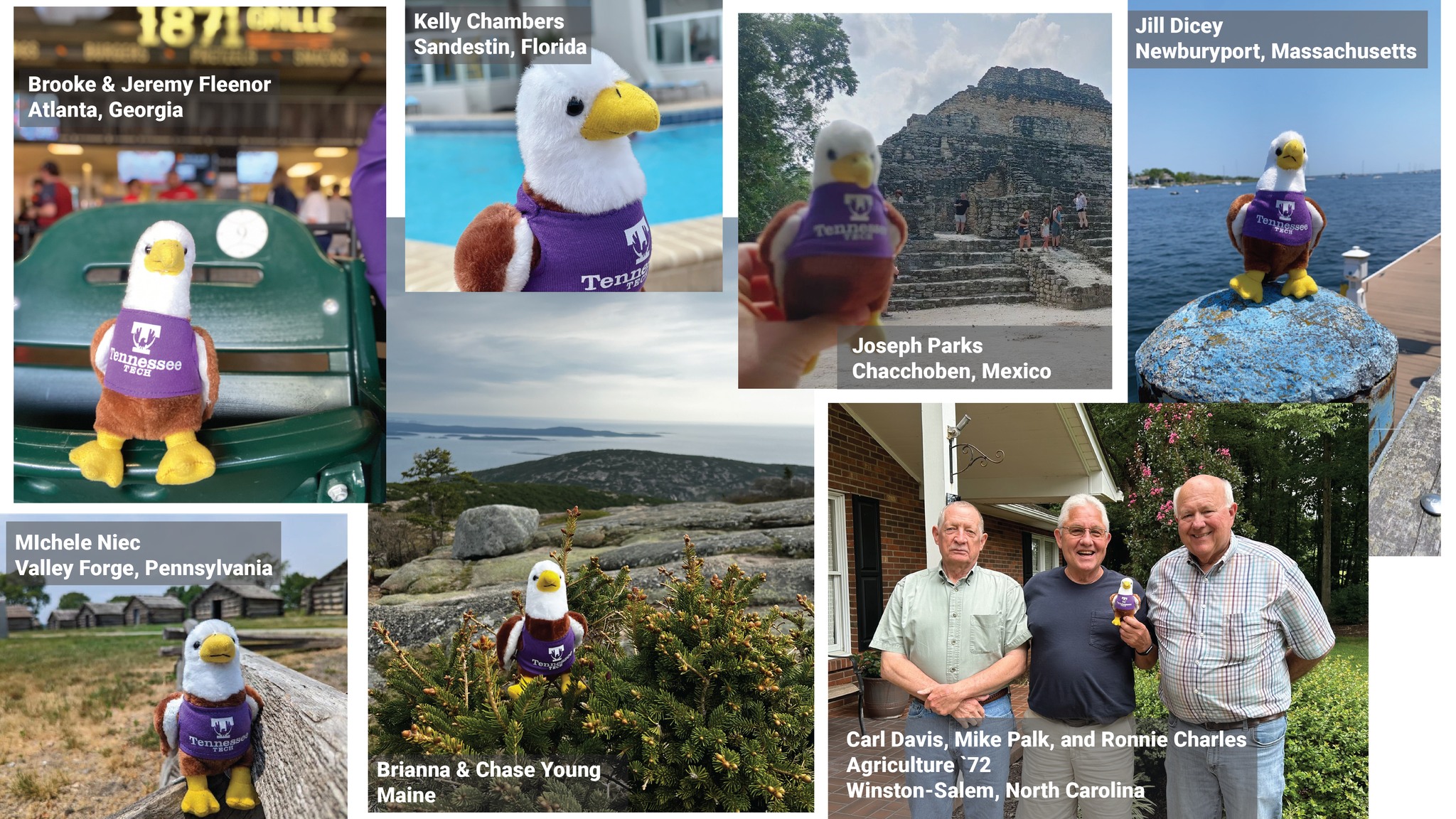 photos of a small stuffed eagle in destinations