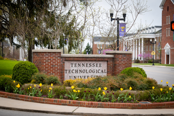 Stock photo of the Tennessee Tech sign with yellow and purple tulips blooming in front of it.