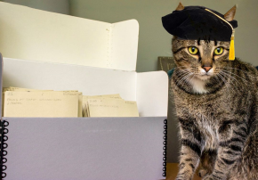 A tabby cat (with a Tudor bonnet/doctoral hat photoshopped on its head) sits next to a file box. 