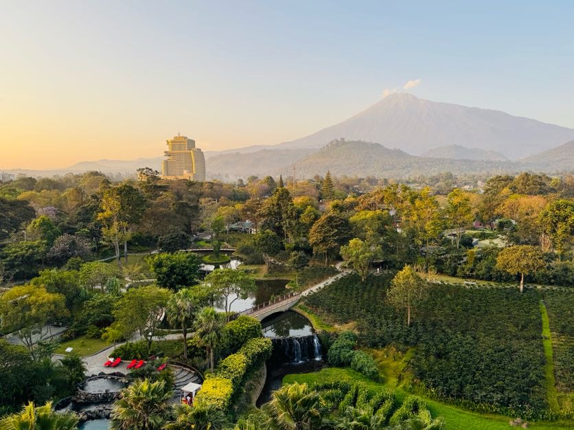 overhead shot of Arusha